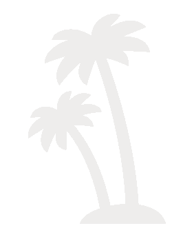 coco perfect palm tree