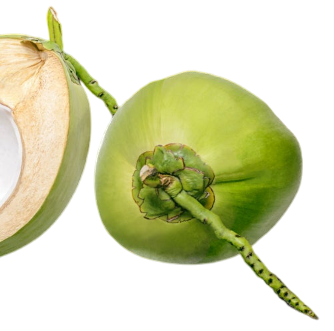 Coconut Water Premix Supplier